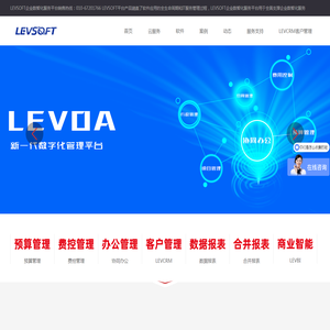 LEVSOFT为企业提供数智化服务平台